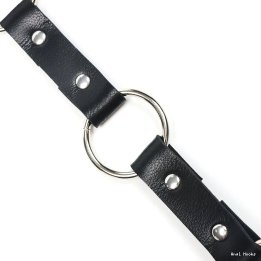 Anal Hooks Collar and 5853 Anal Leash Kinky Hook EverydayUse with 0111